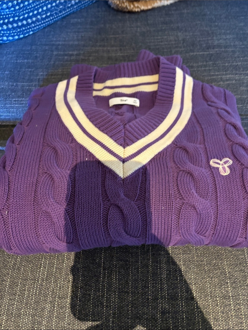 TNA Purple Cable-Knit V-Neck Sweater with Cream Trim